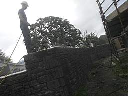 acastle 182360.jpg